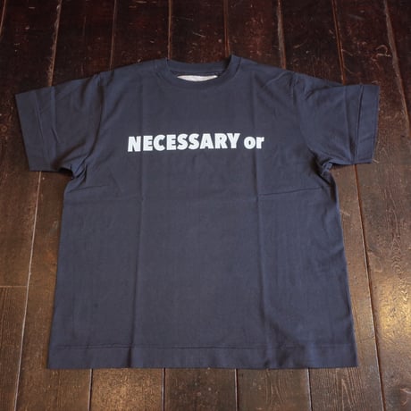 NECESSARY or UNNECESSARY  NOUN T