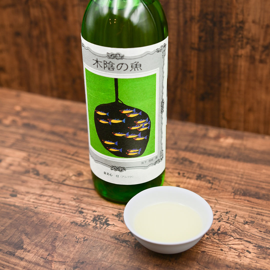 木陰の杉樽の魚」 | つけたろう酒店