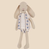 【birinit】Sariñena ragdoll baby