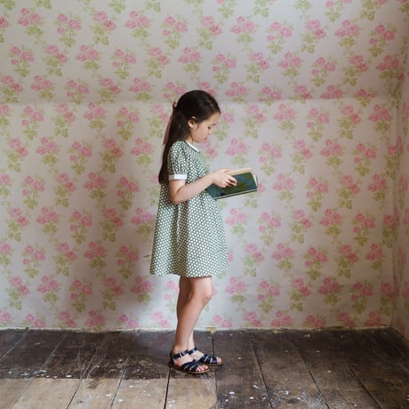 【Little Cotton Clothes】Sally Dress - Pembroke Floral