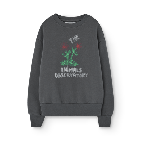 CATEGORY The Animals Observatory | lana