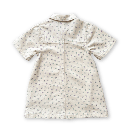 【grown】Collar Dress - Garden