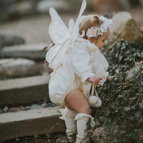 【kruhitkalove】chamomile fairy wings / wings