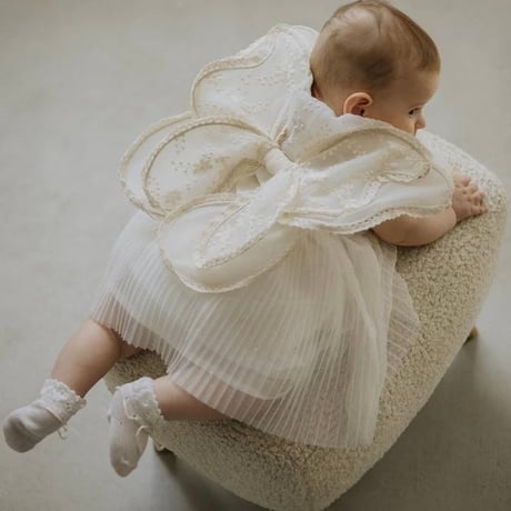 【kruhitkalove】chamomile fairy wings / wings