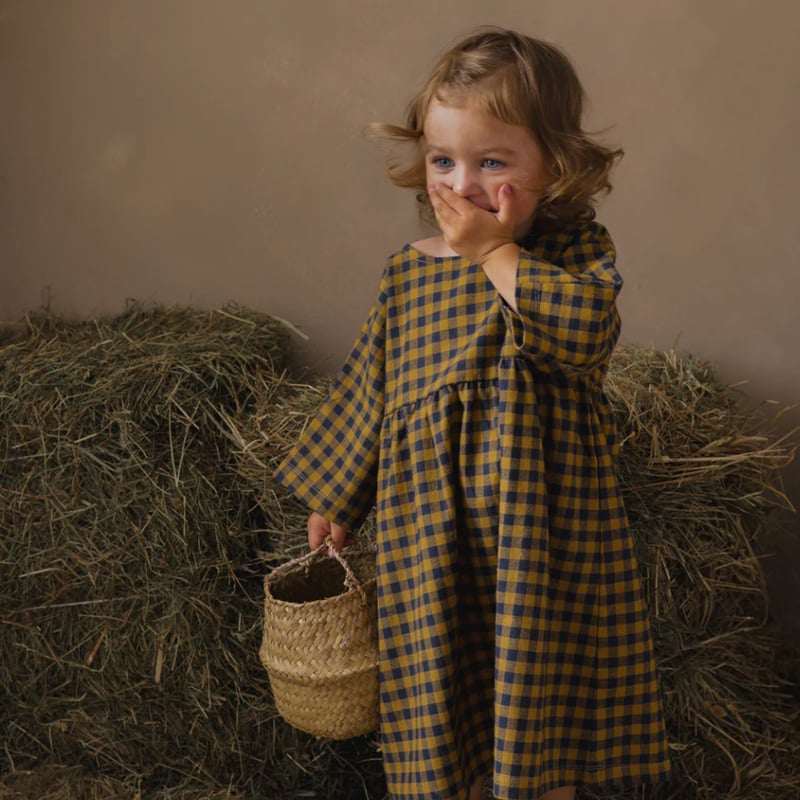 ワンピース organic zoo Blue Gingham Bella Dress Pottery Blue Gingham Bella Dress | Organic Zoo