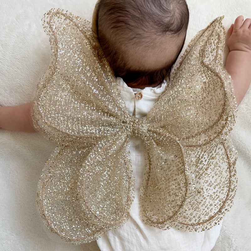 kruhitkalove】glitter Wings/wings+ butterfly an