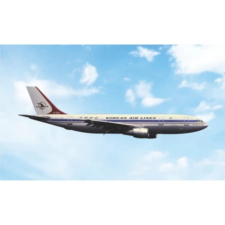 CATEGORY 大韓航空 | ひこーきちゃん