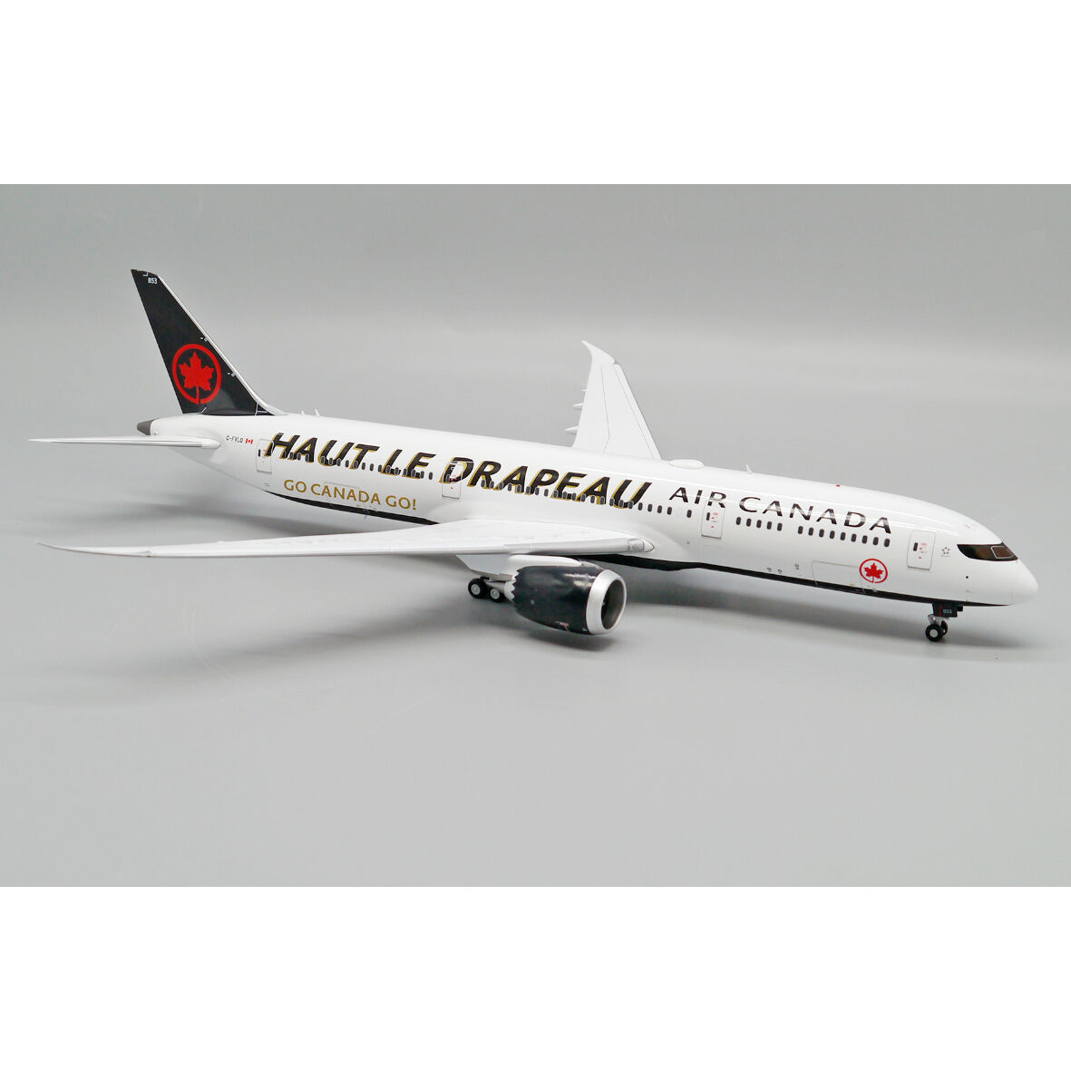 1/200 787-9 エア・カナダ「FLY THE FLAG」 C-FVLQ | ひこーきち