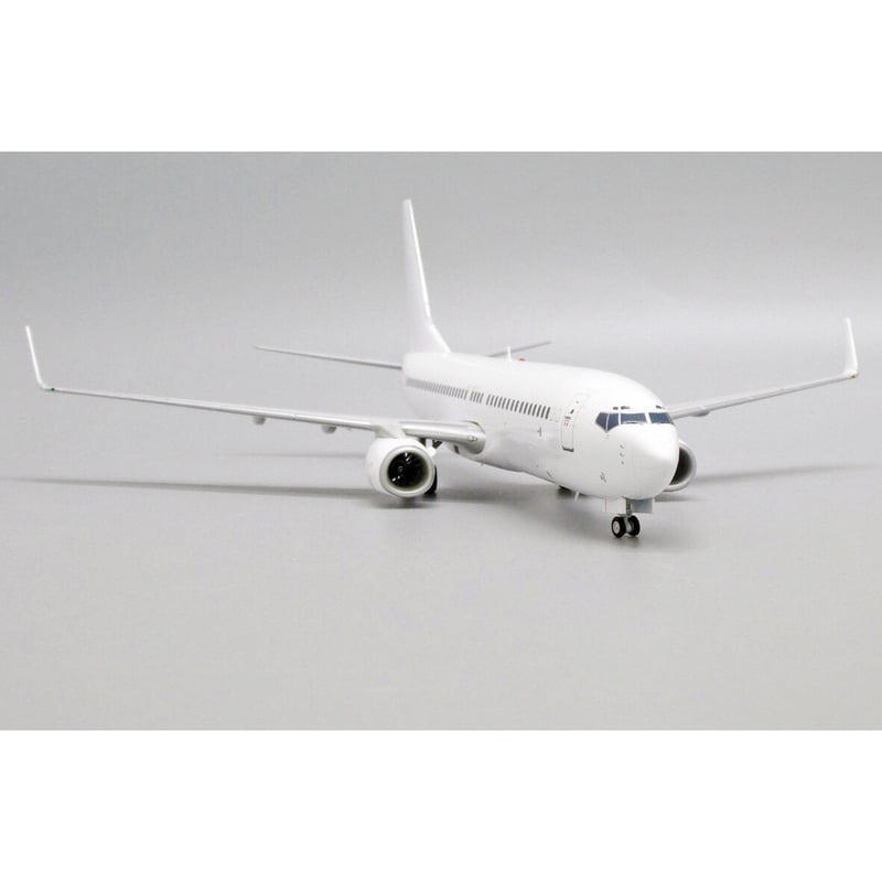 お取り寄せ商品】塗装DIY 1/200 737-800 With Winglets お取り寄せ商品】塗装DIY 1/200 737-800 With Winglets