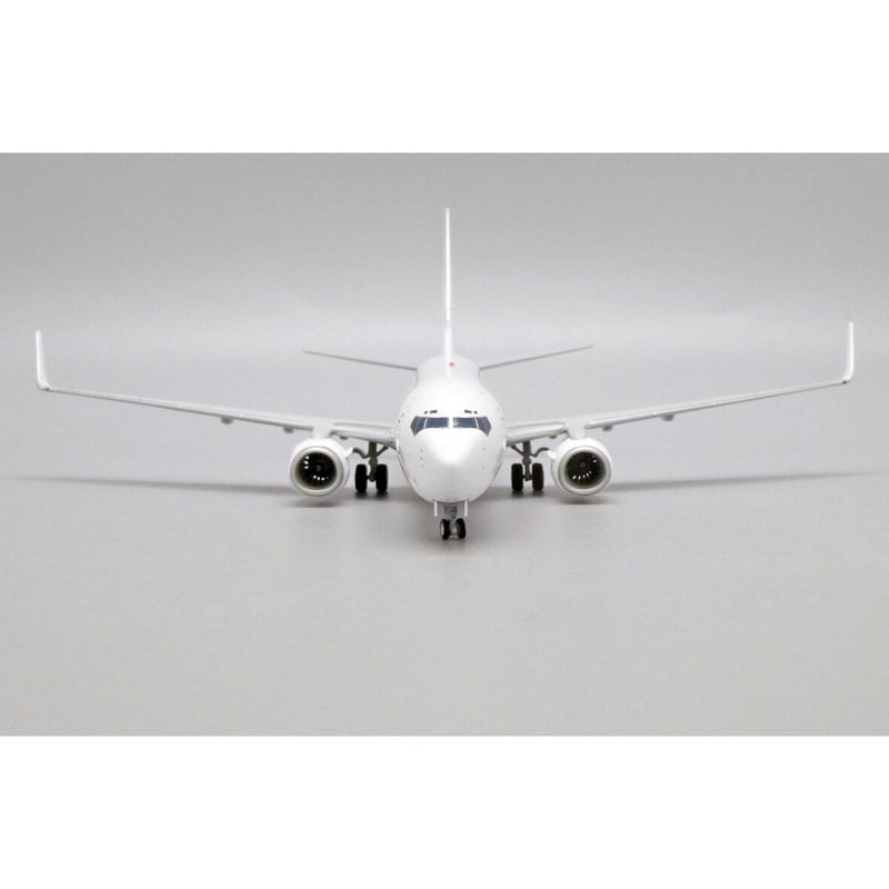 お取り寄せ商品】塗装DIY 1/200 737-800 With Winglets 