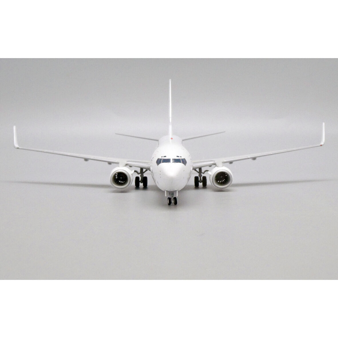 お取り寄せ商品】塗装DIY 1/200 737-800 With Winglets 