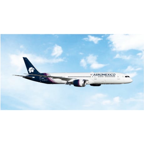 CATEGORY アエロメヒコ航空 | ひこーきちゃん
