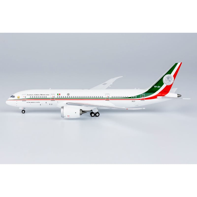 1/400 787-8 メキシコ空軍 TP-01 | ひこーきちゃん