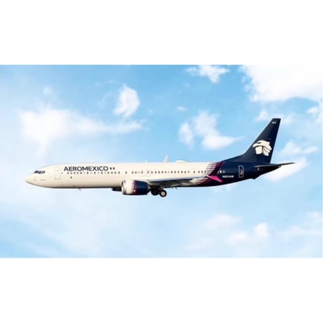CATEGORY アエロメヒコ航空 | ひこーきちゃん
