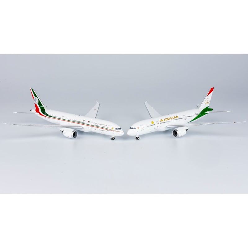 1/400 787-8 メキシコ空軍 TP-01 | ひこーきちゃん