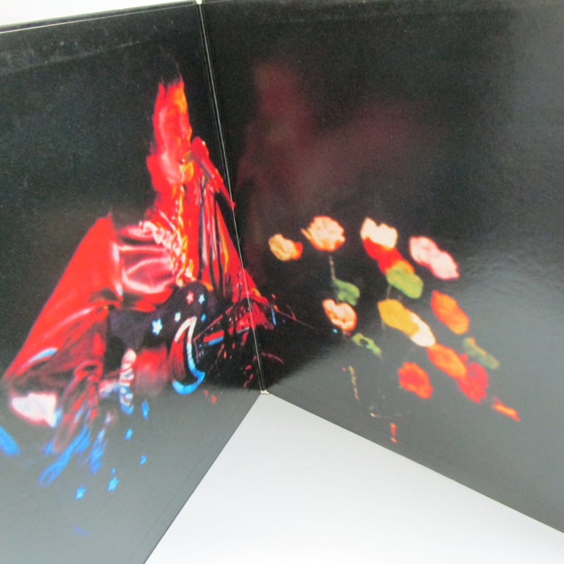 DONOVAN. / Live in Japan : Spring Tour 1973（歌詞カ