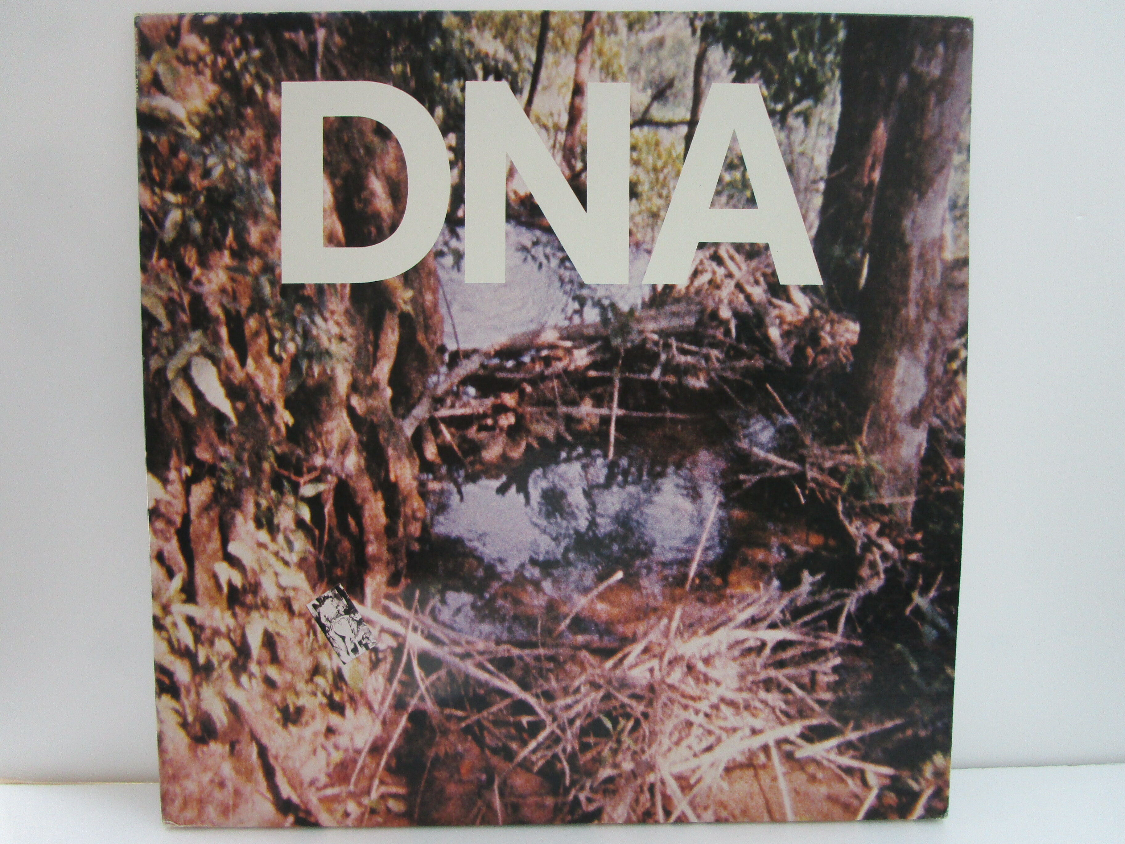 DNA / A Taste of DNA | TOHTO records & books annex