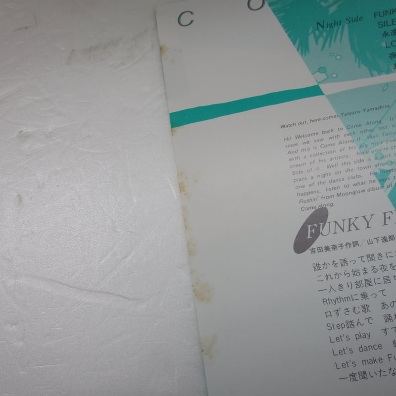 山下達郎 / Come Along II ＊ ピクチャーレコード | TOHTO record