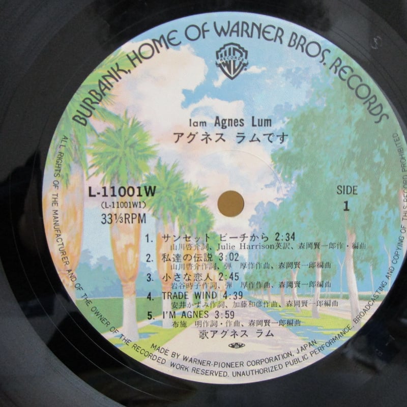 アグネス・ラム / I AM AGNES LUM アグネス・ラムです ＊写真集付き