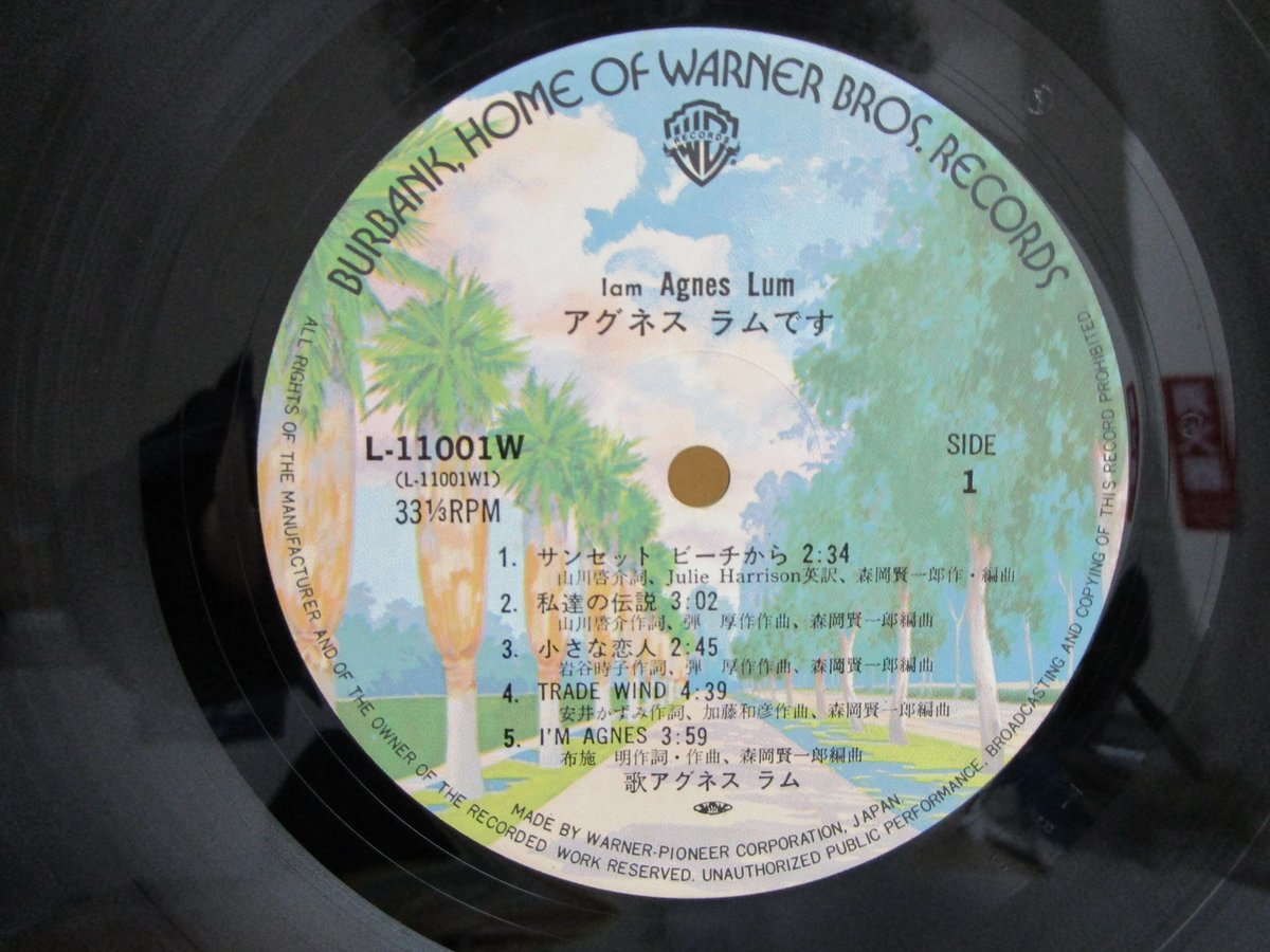 アグネス・ラム / I AM AGNES LUM アグネス・ラムです ＊写真集