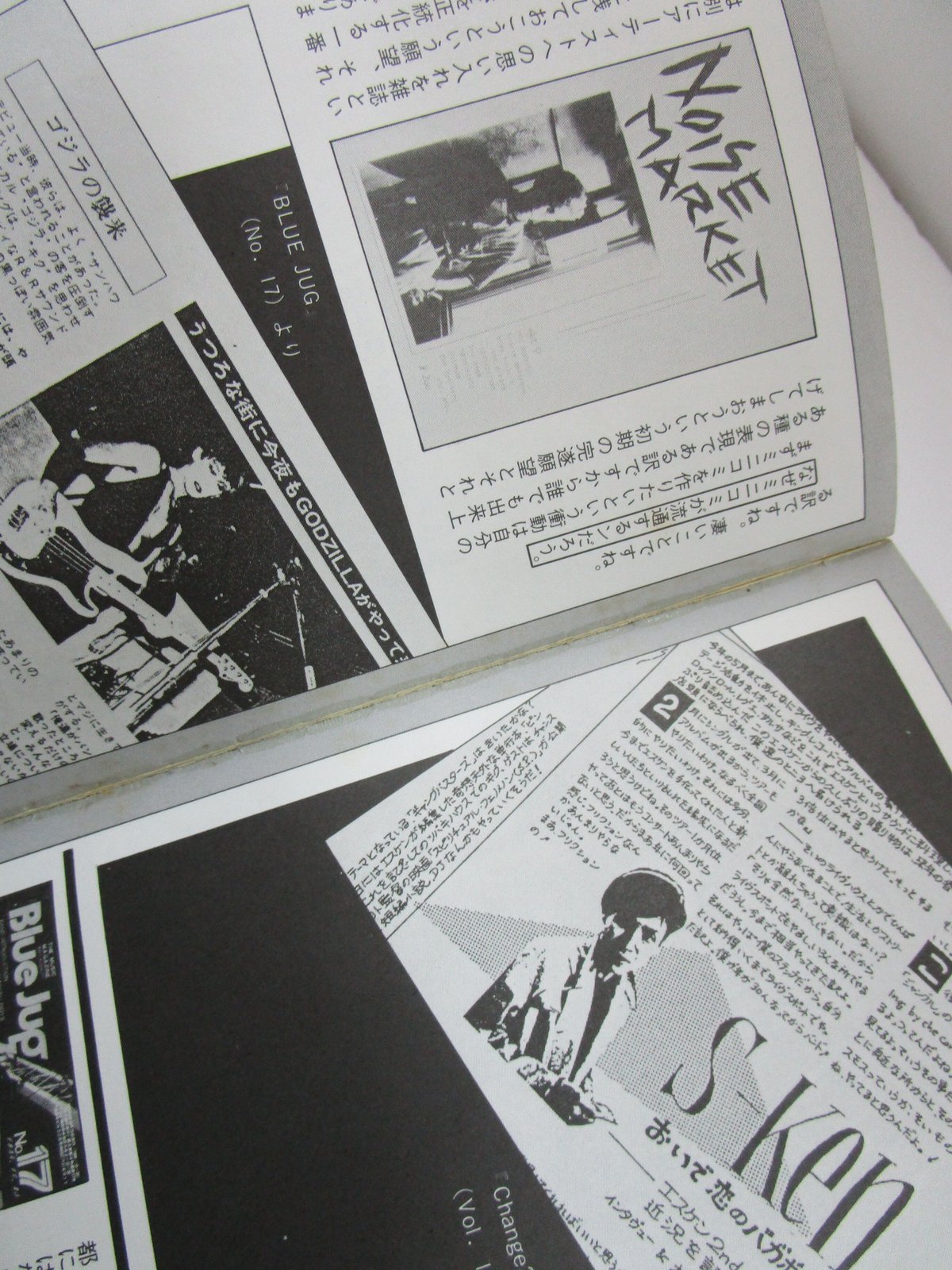 B-5 Punks Not Dead ! / パンク＆ニュー・ウェイブ ライブ写真集（漫画