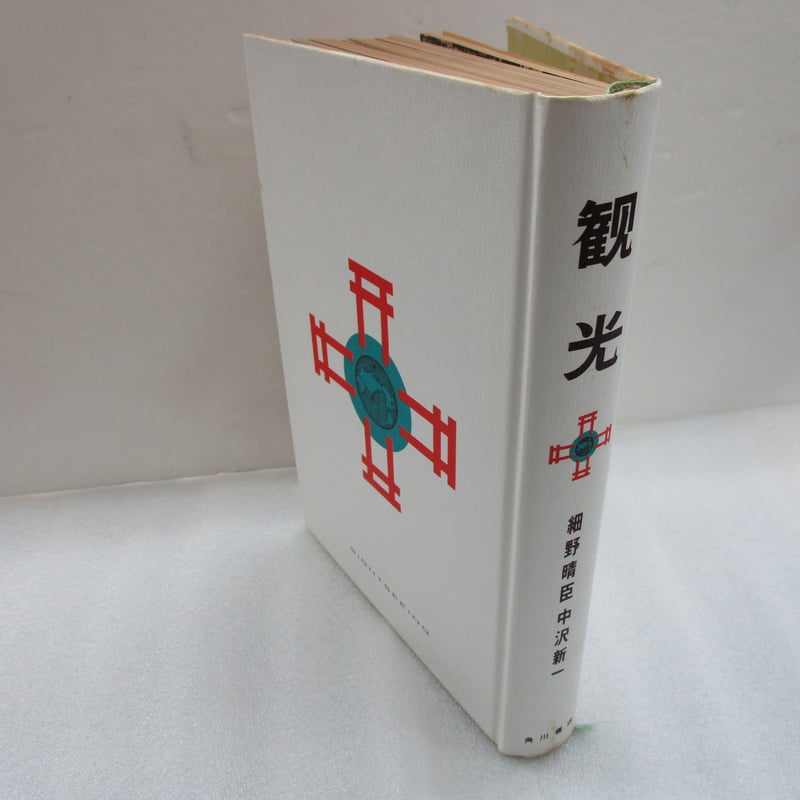 細野晴臣・中沢新一 / 観光 ＊古書／ややダメージ有 | TOHTO records