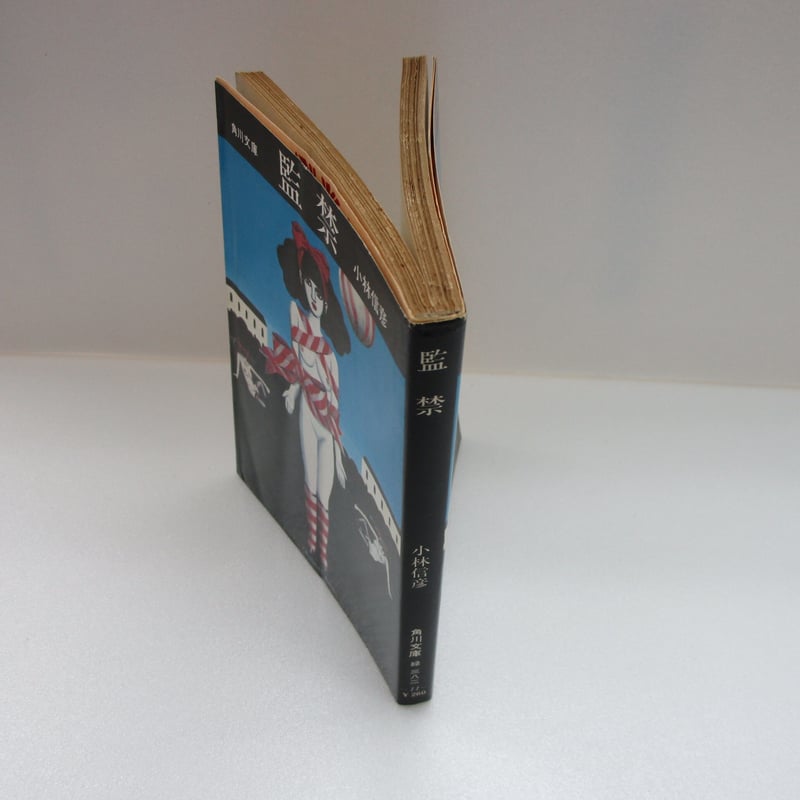 角川book サイレントヒル (角川ホラー文庫 66-8) | ポーラ エッジウッド