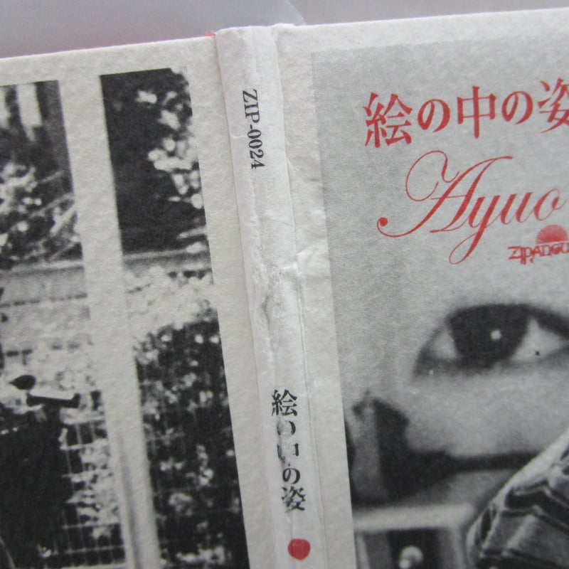 AYUO＊高橋鮎生 / 絵の中の姿 ＊CD | TOHTO records & books a