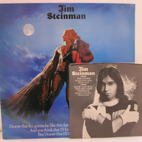 JIM STEINMAN / Bad for Good / EP付き