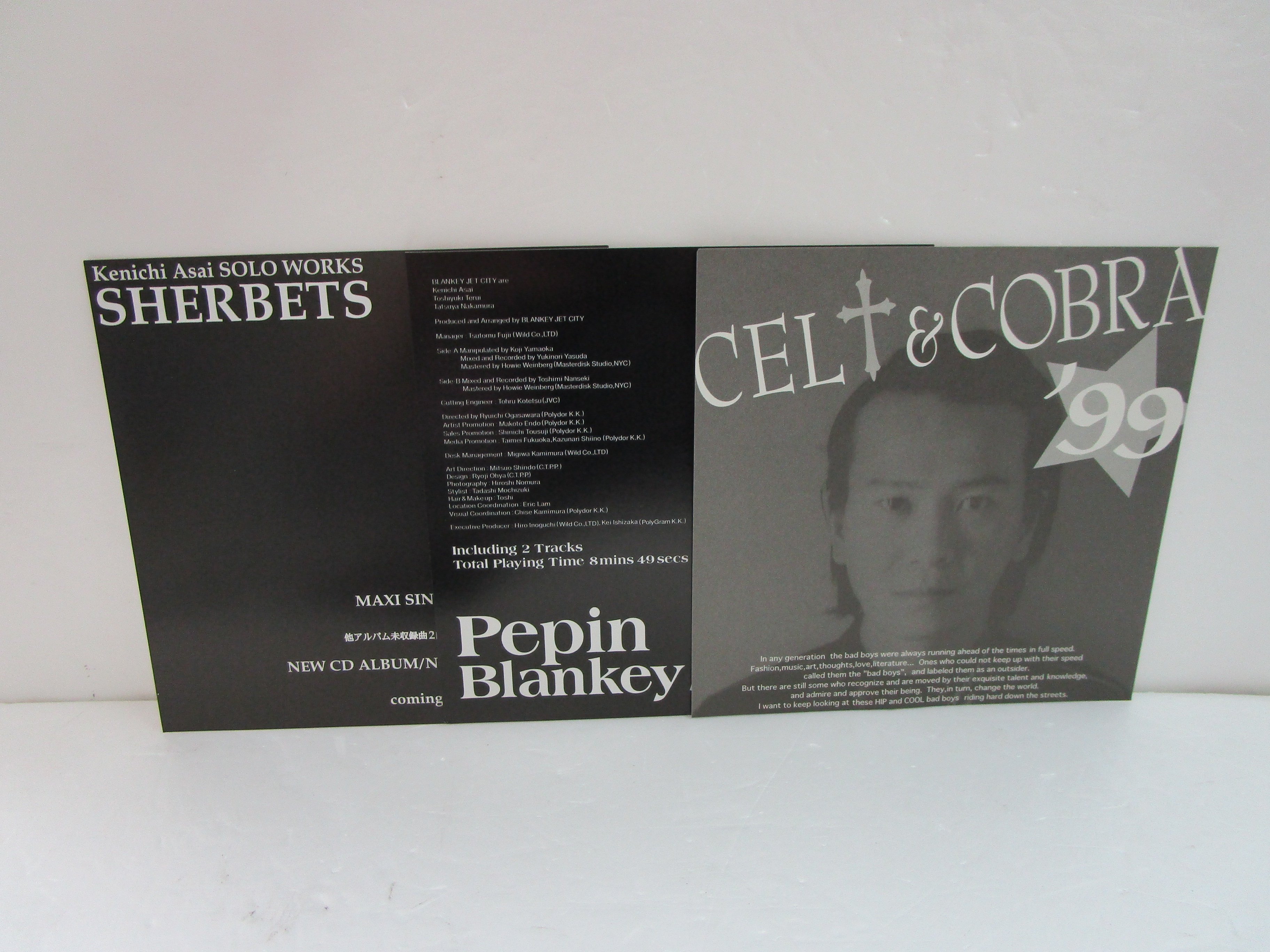 BLANKEY JET CITY / Pepin 7インチ・シングル | TOHTO rec BLANKEY JET CITY / Pepin 7インチ・シングル | TOHTO rec