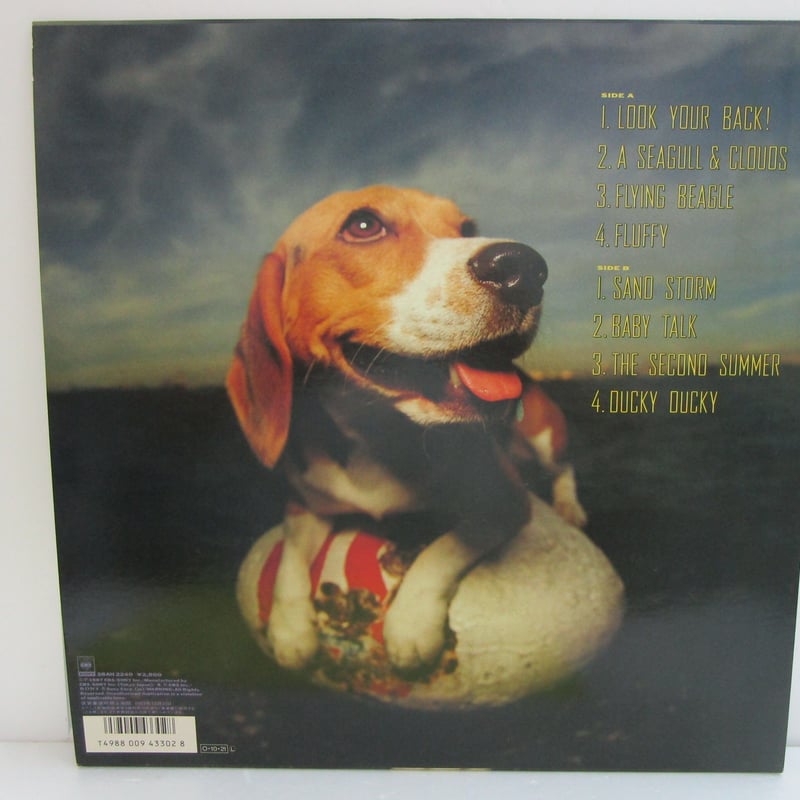 菊池ひみこ / Flying Beagle | TOHTO records & books a