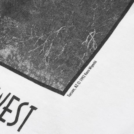 Kozo Miyoshi × weber "Far East and Southwest" tee  [cactus]