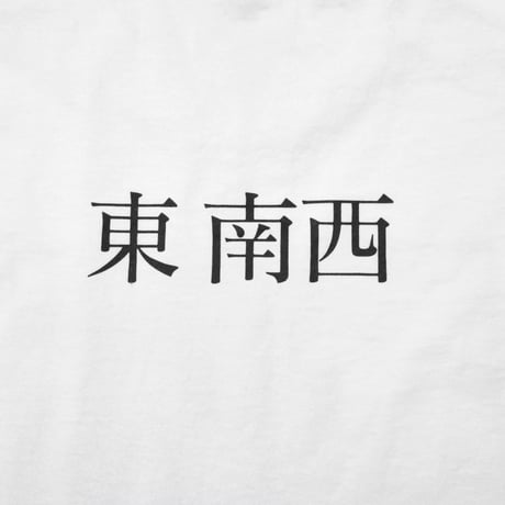 Kozo Miyoshi × weber "Far East and Southwest" tee  [cactus]