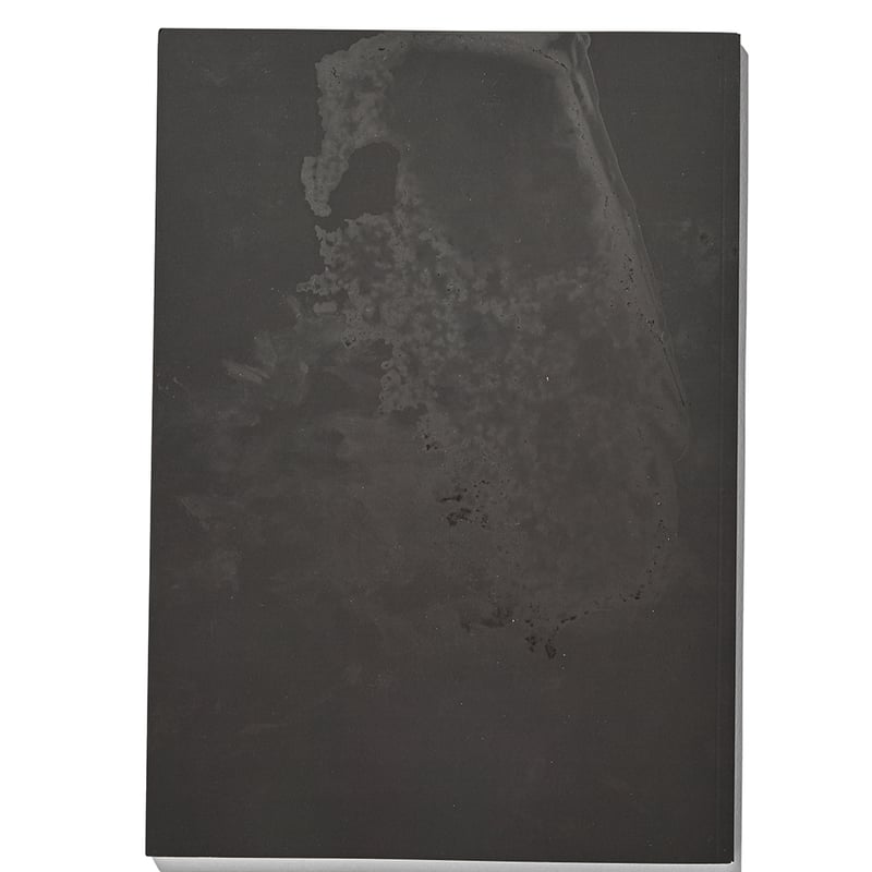 Jonathan & Tiffany｜Larry Clark [Special editio