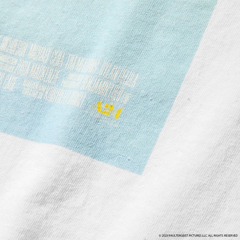 Dream Scenario × weber] T shirt | weber