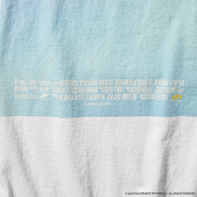 Dream Scenario × weber] T shirt | weber