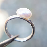 silver 淡水真珠 指輪