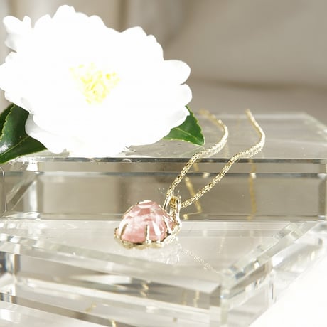 インカローズ | STORES