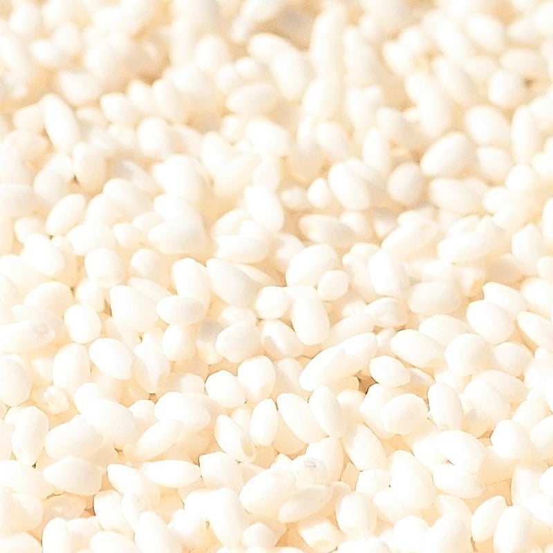 農家がつくった杵つきもち （小分包装/500g）｜きねふりもち使用