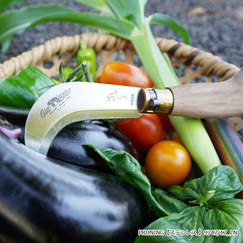 最安値▶︎ オールドパイン無垢材の入手困難アンファン廃盤ヴィンデージ棚【即決禁止】 最安値▶︎ オールドパイン無垢材の入手困難アンファン廃盤