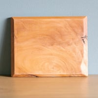 国産ケヤキデッシュ【XL02】　made in ATSUGI