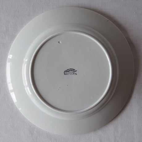 クレイユ エ モントロー／プレート CREIL ET MONTEREAU／PLATE C25