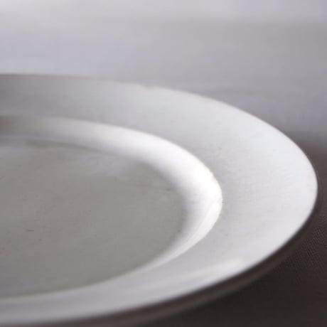 クレイユ エ モントロー／良い佇まいのプレート CREIL ET MONTEREAU／PLATE C100