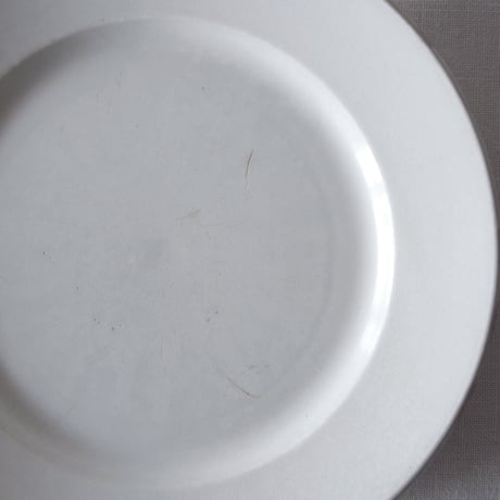 クレイユ エ モントロー／綺麗に枯れたプレート CREIL ET MONTEREAU／PLATE C105
