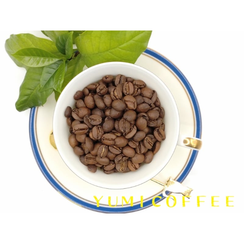 ニカラグア】ニカラグア エル・ススピロ オレンジブルボン（200g