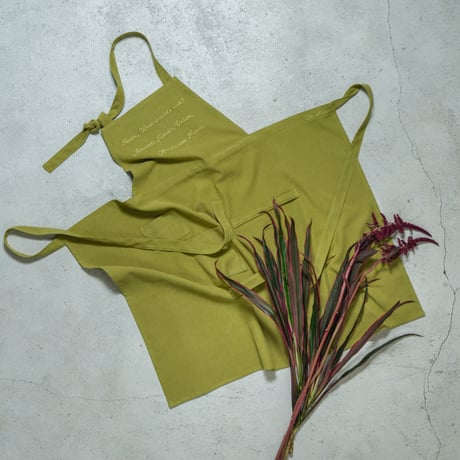 Veggies apron / Pistacchio