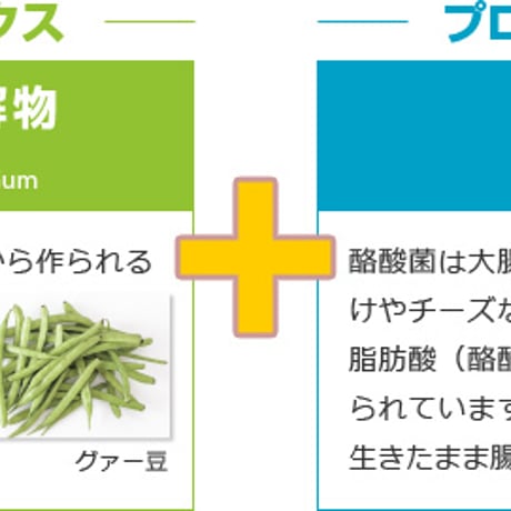 サンファイバープラス【スティック】