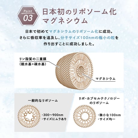 マグリポ（お試し10本セット）