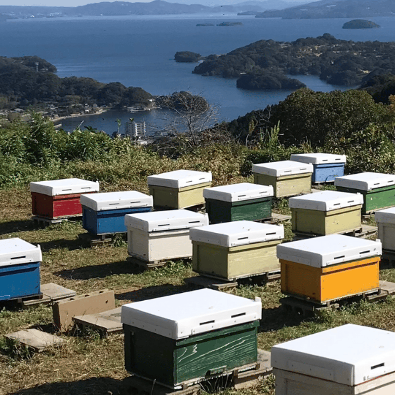 ギフトボックス入り 200g瓶3本コンボ・セット 山の花