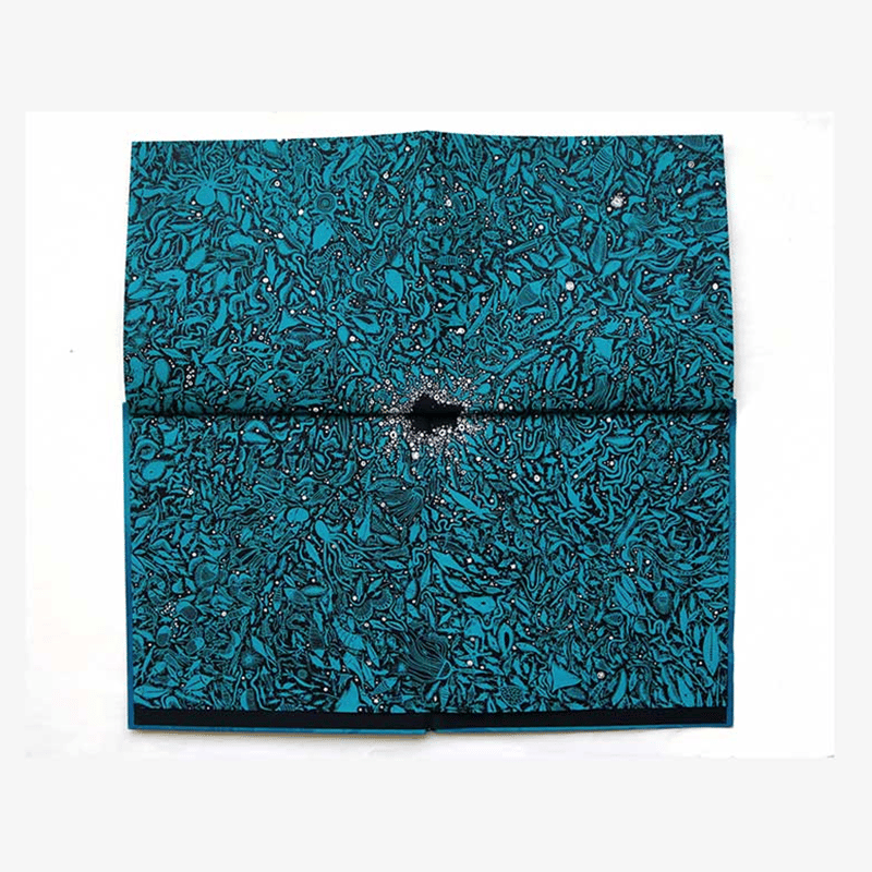タラブックス the deep ハンドメイド インド アート 版画 The deep (Book) | FRANGIPANI India Art & Craft